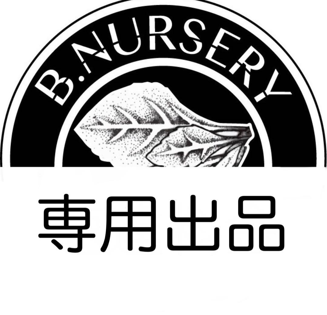 専用②