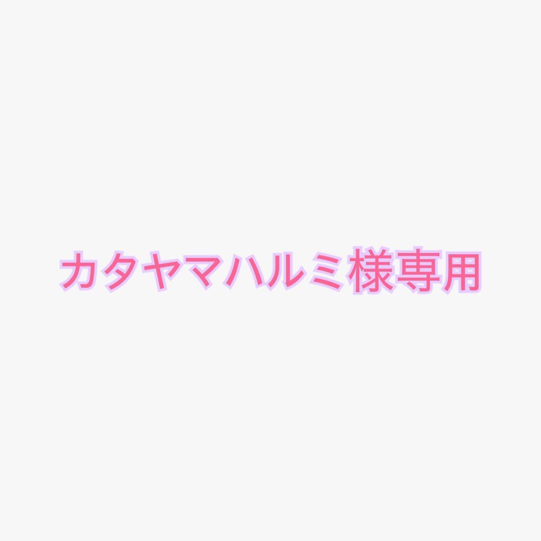 カタヤマハルミ