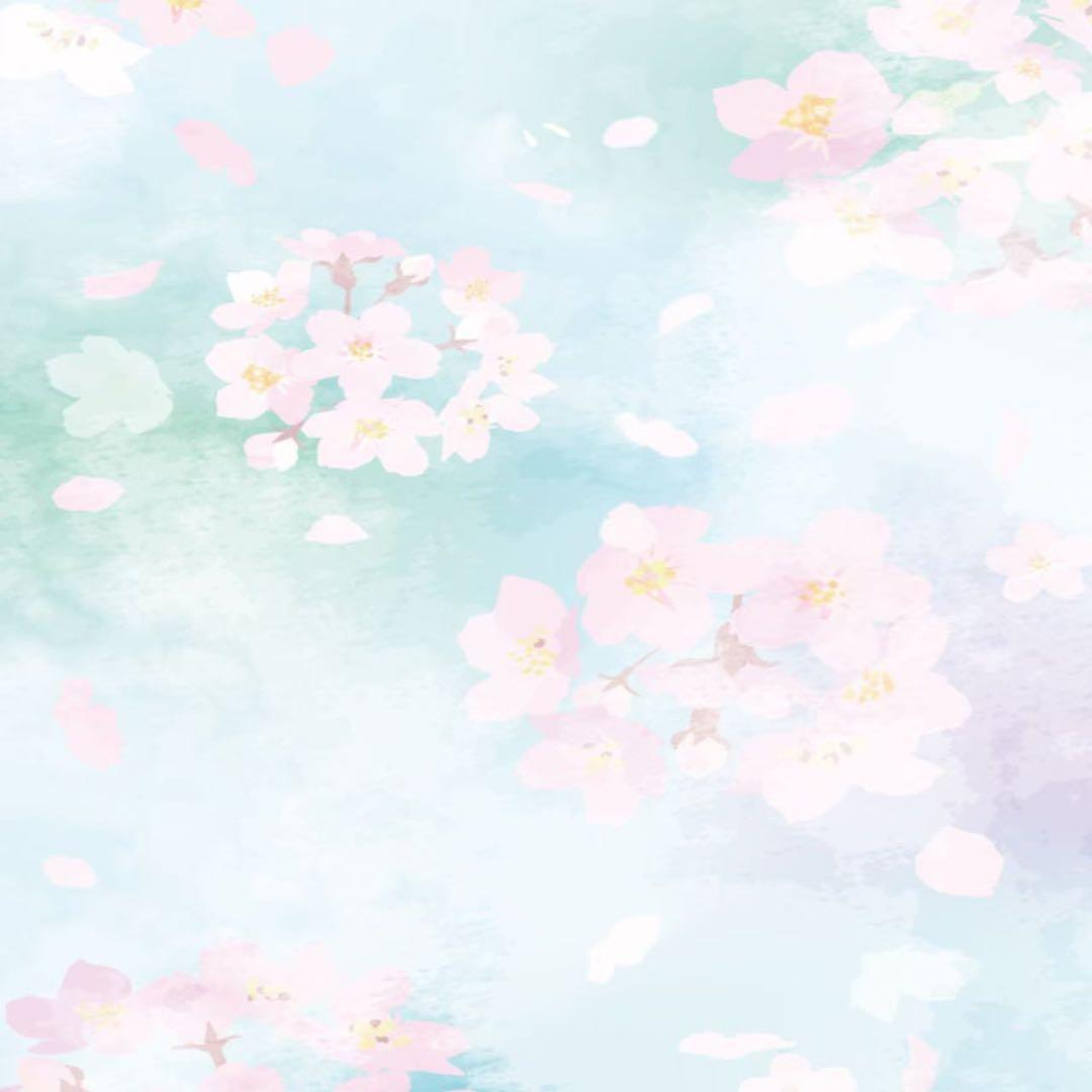 dokindokindokin様