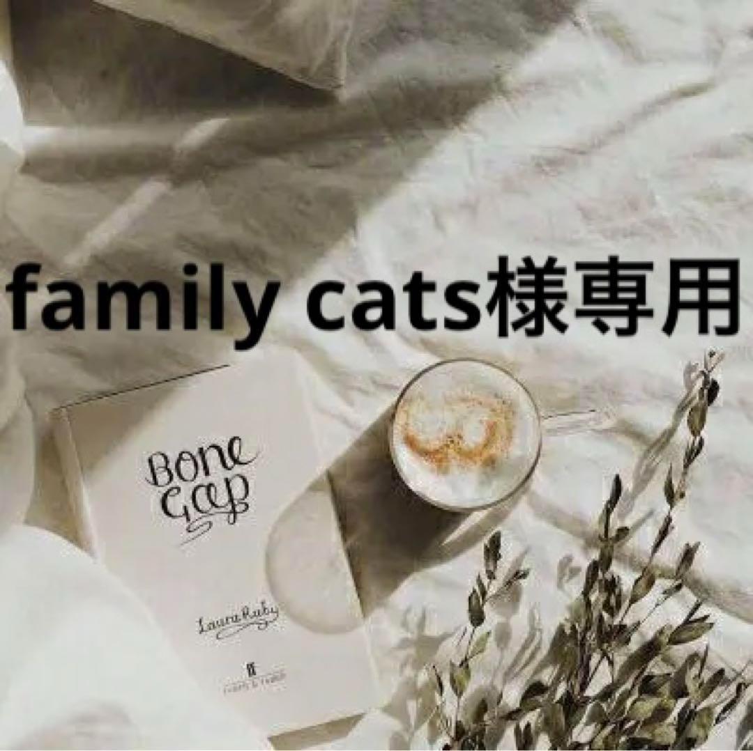 family cats　0331