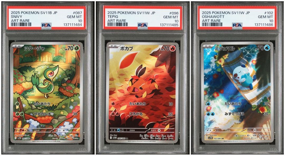 【PSA10】【３連番】御三家ツタージャ　ポカブ　ミジュマル　AR