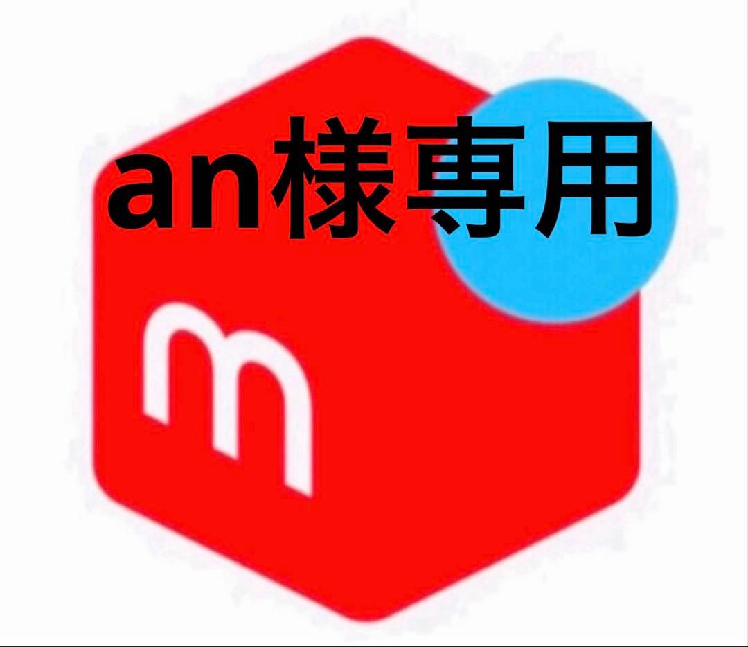 その他 an