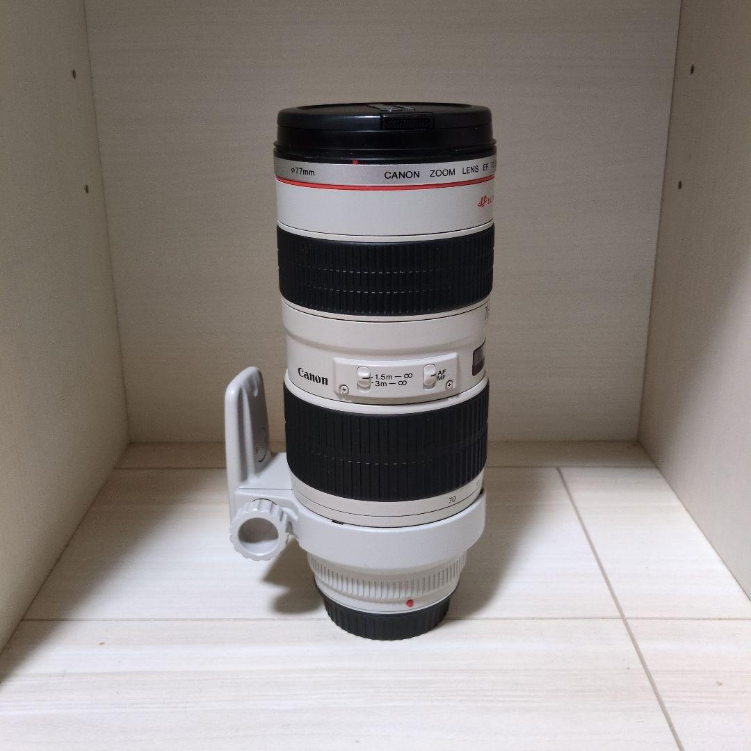 ピッタ