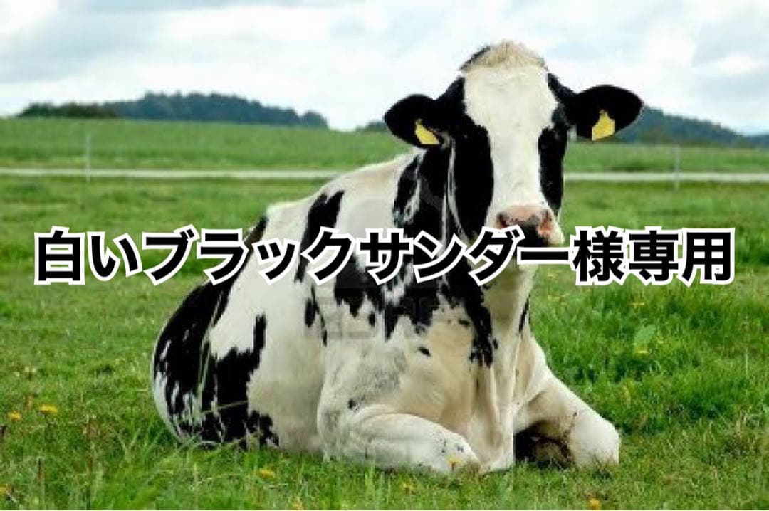 ターコイズ8、キャメル7、エメラルド3、グリス1kg
