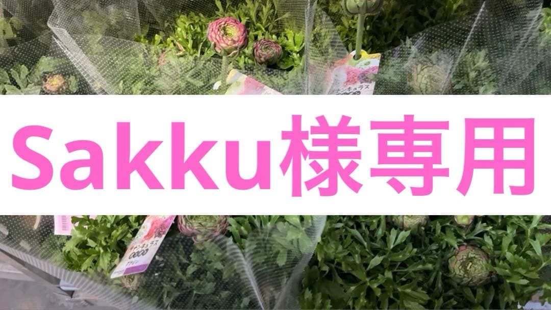 花 Sakku