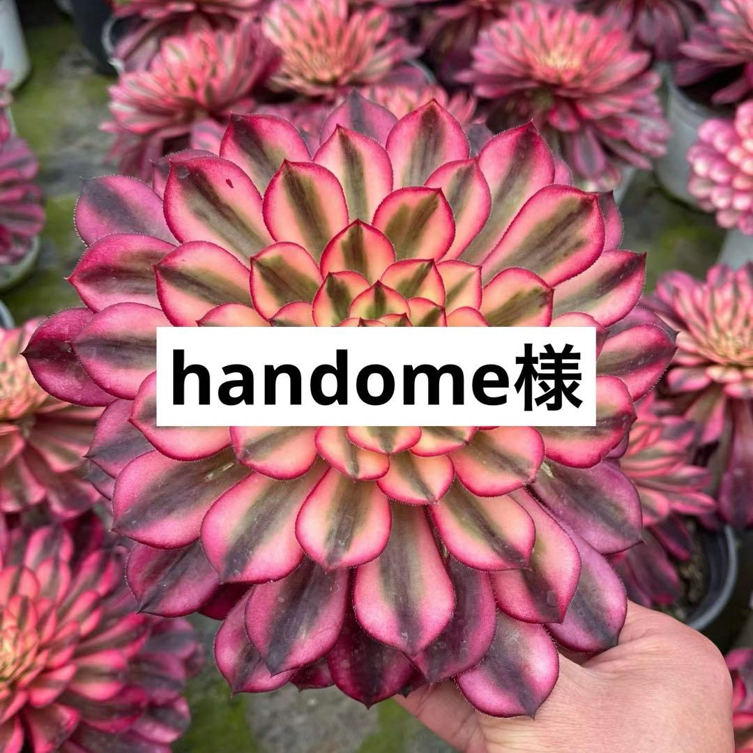 handome