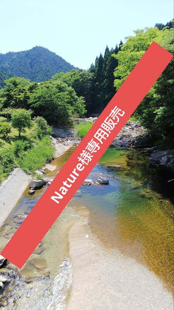 Nature販売