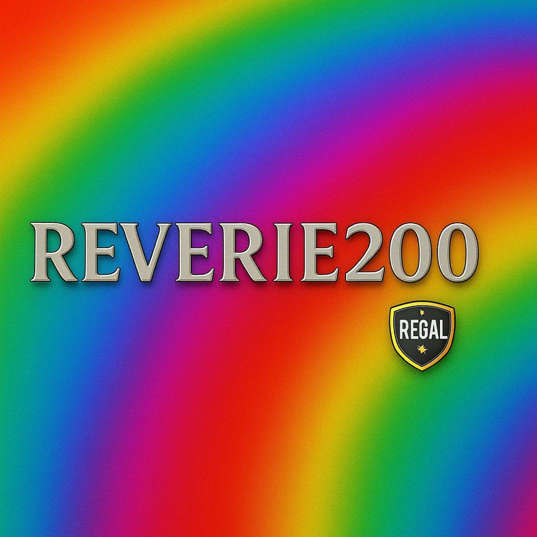 REVERIE 200μ 5枚 【容量アップしました‼️】