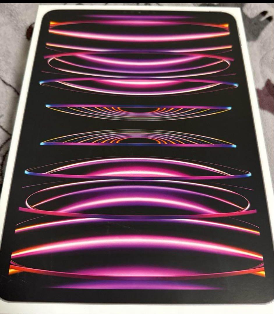 iPad本体 iPadPro
