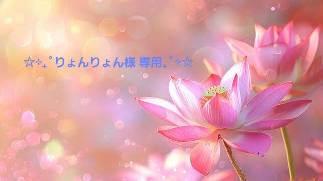【りょんりょん】オールゴールディスク