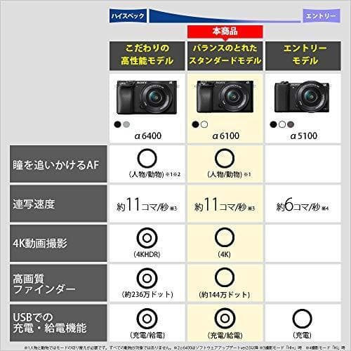 ILCE-6100Y 新品級 保証有 未使用 SONY α6100 ダブルズーム