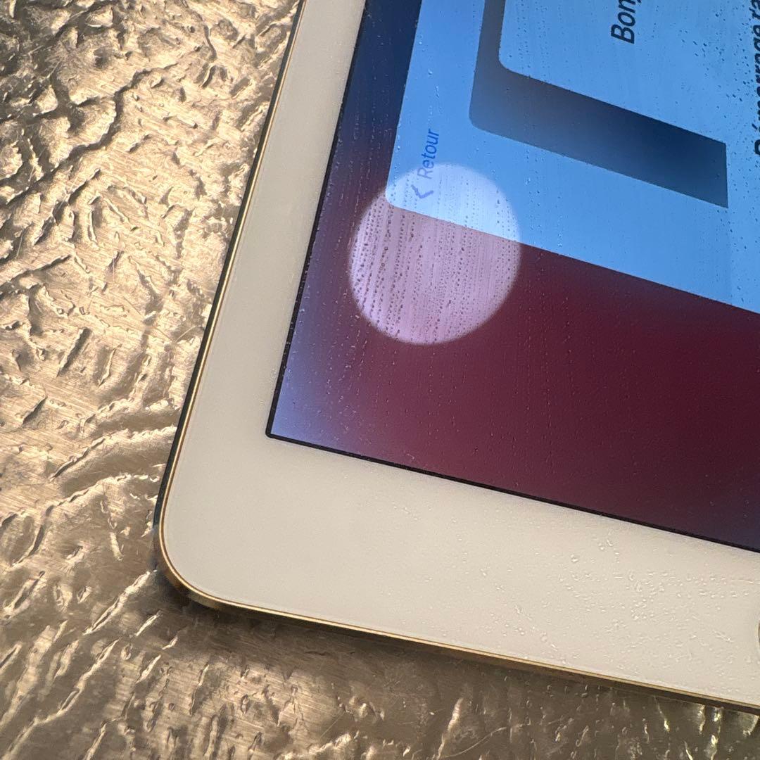 Apple iPad 本体