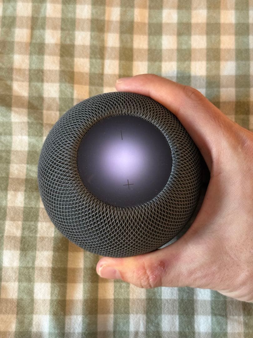 Apple Pod mini スペースグレイ 動作確認済みケーブル付