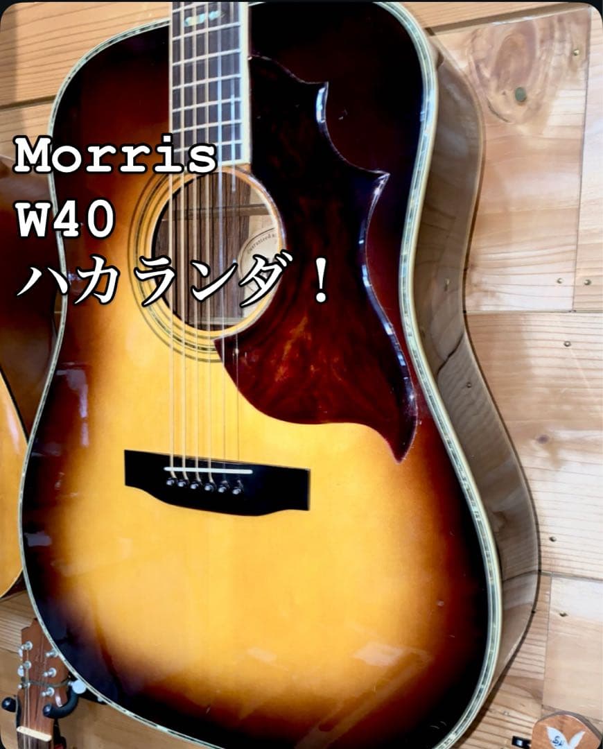 週末値下美品❣️モーリスW-40 ハカランダビンテージ、ピックガード新