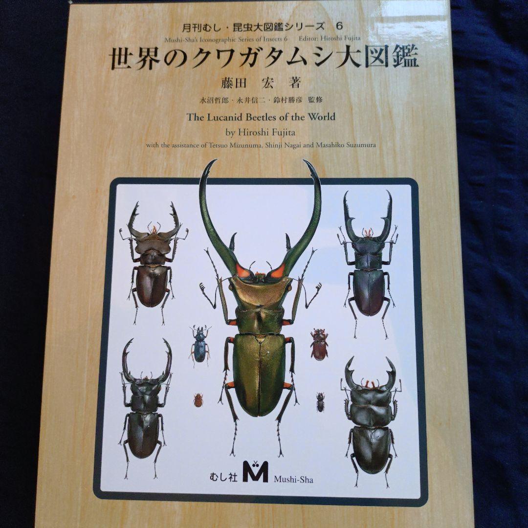 世界のクワガタムシ大図鑑 6