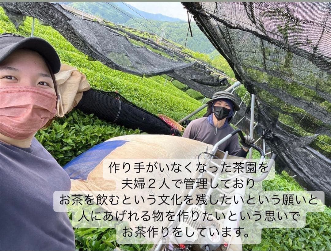 【農薬不使用】パウダー10種類飲み比べセット30本各(3本入り×10種類)