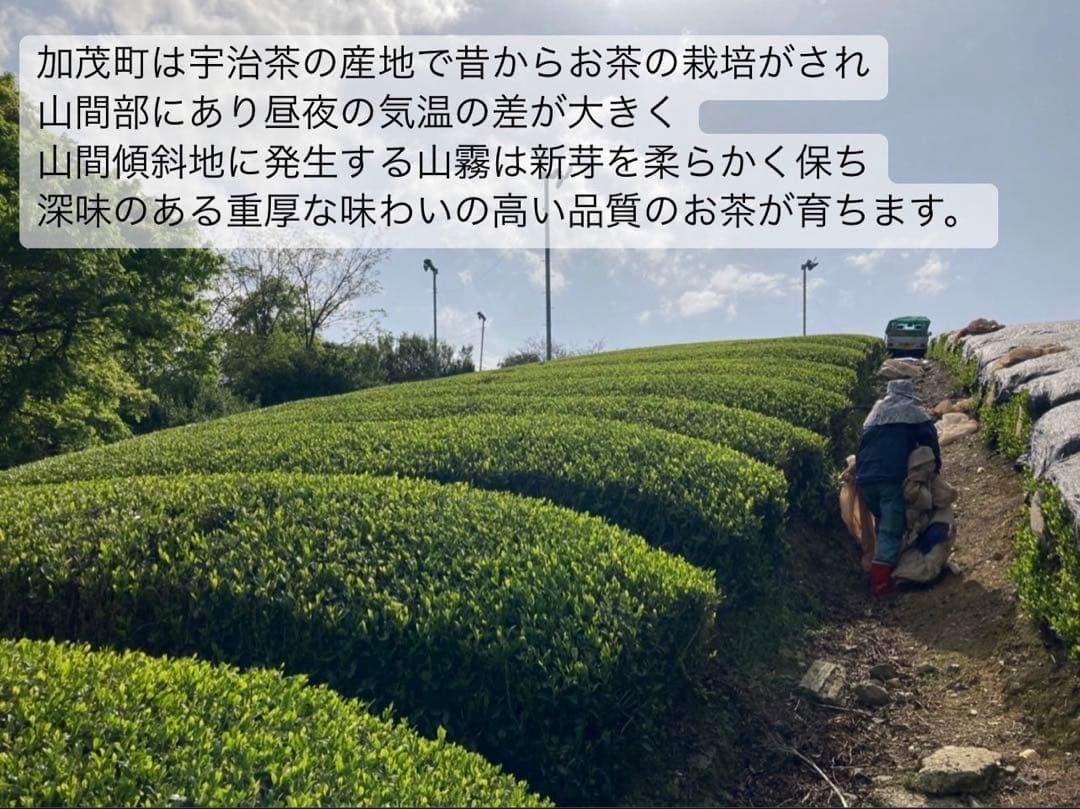 【農薬不使用】パウダー10種類飲み比べセット30本各(3本入り×10種類)