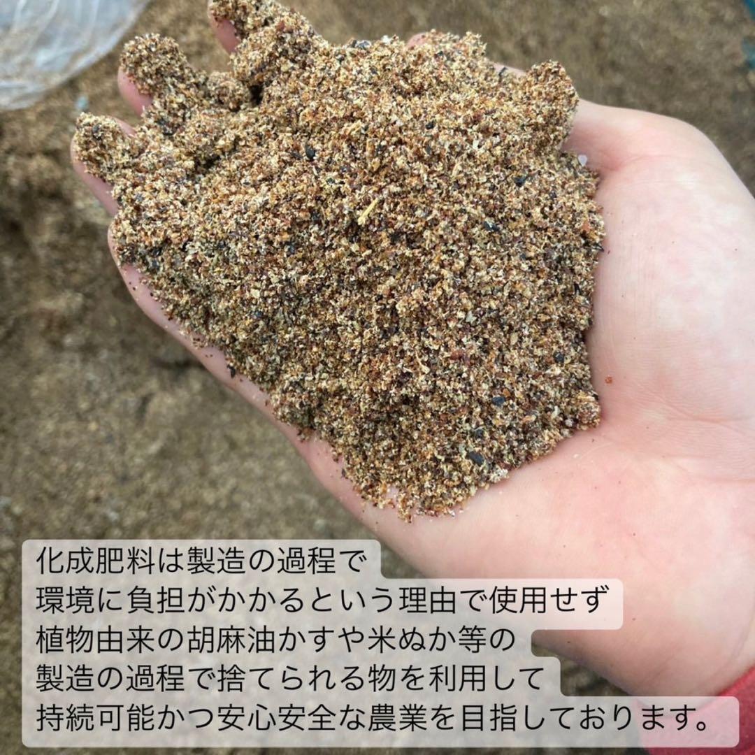 【農薬不使用】パウダー10種類飲み比べセット30本各(3本入り×10種類)