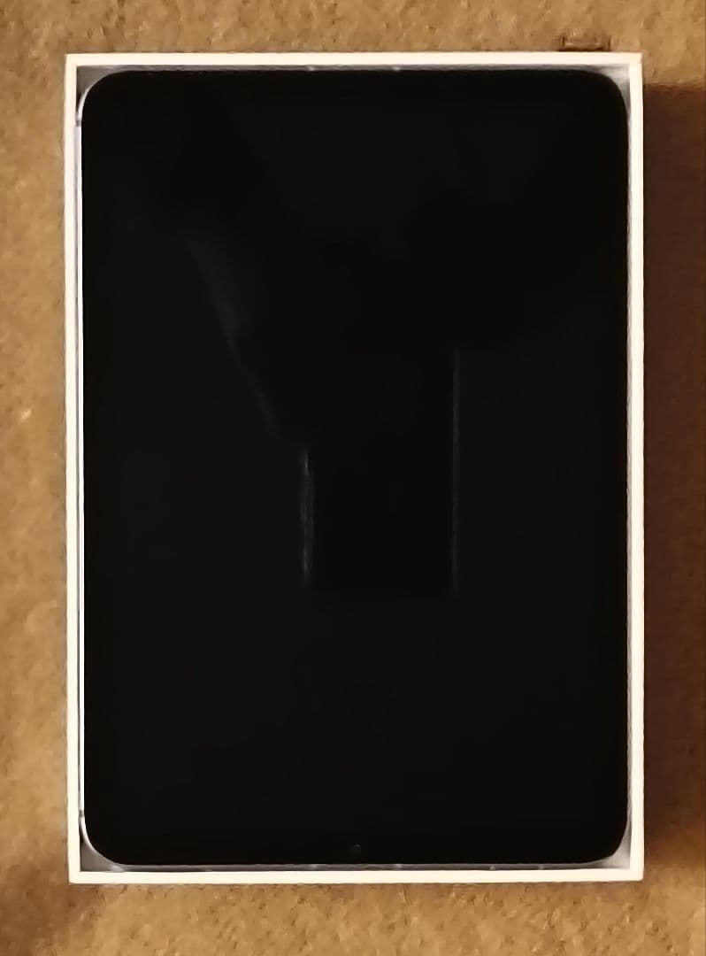 【ジャンク品】iPadmini 6 Cellular 64GB（箱・付属品あり）