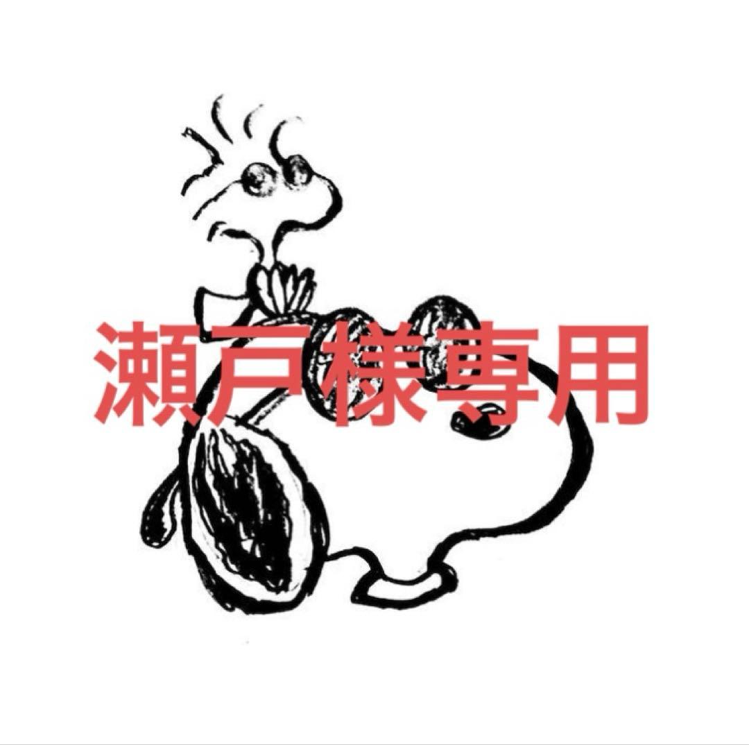 瀬戸