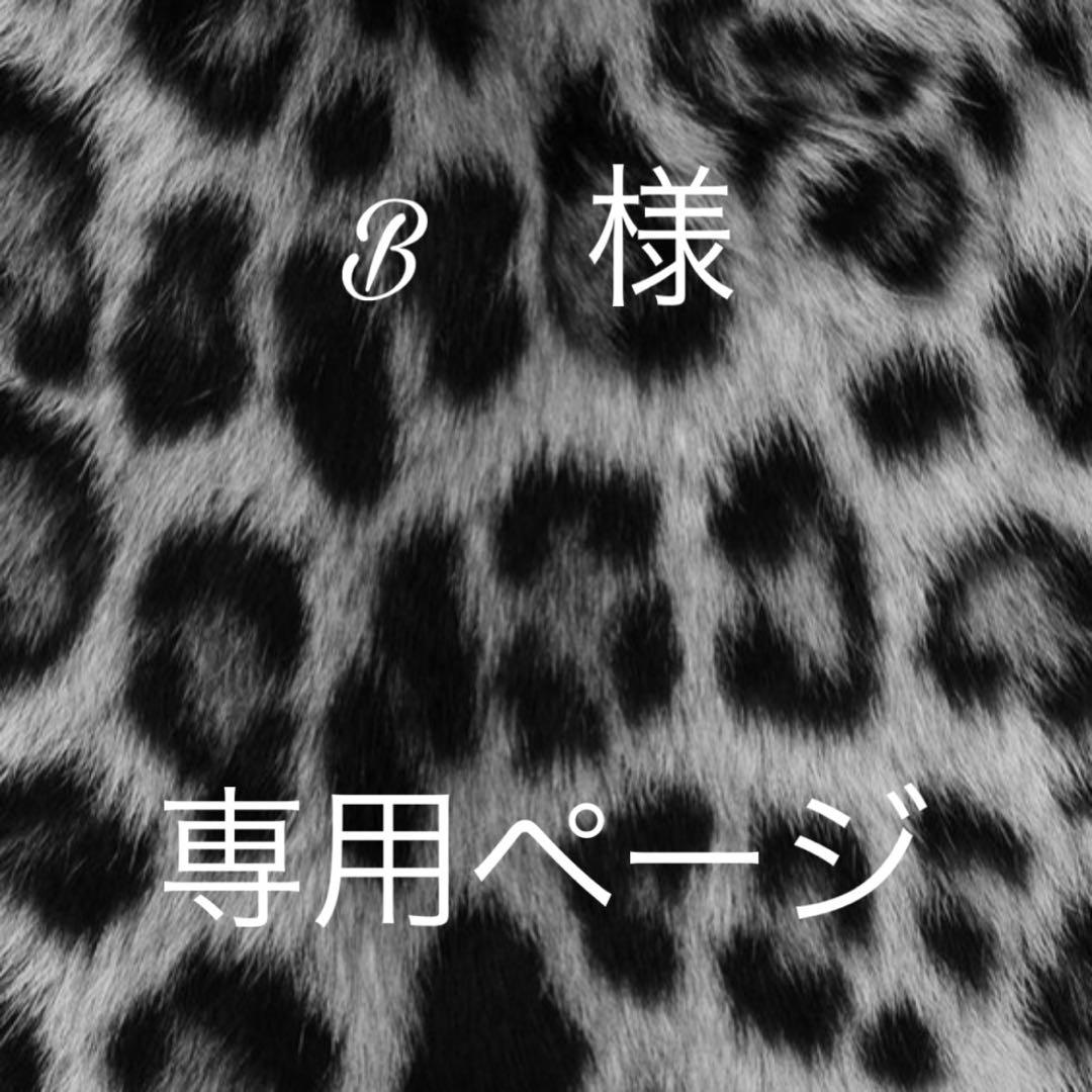 B ページ