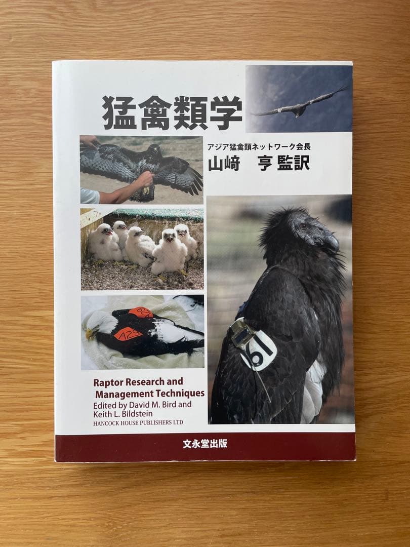 猛禽類学