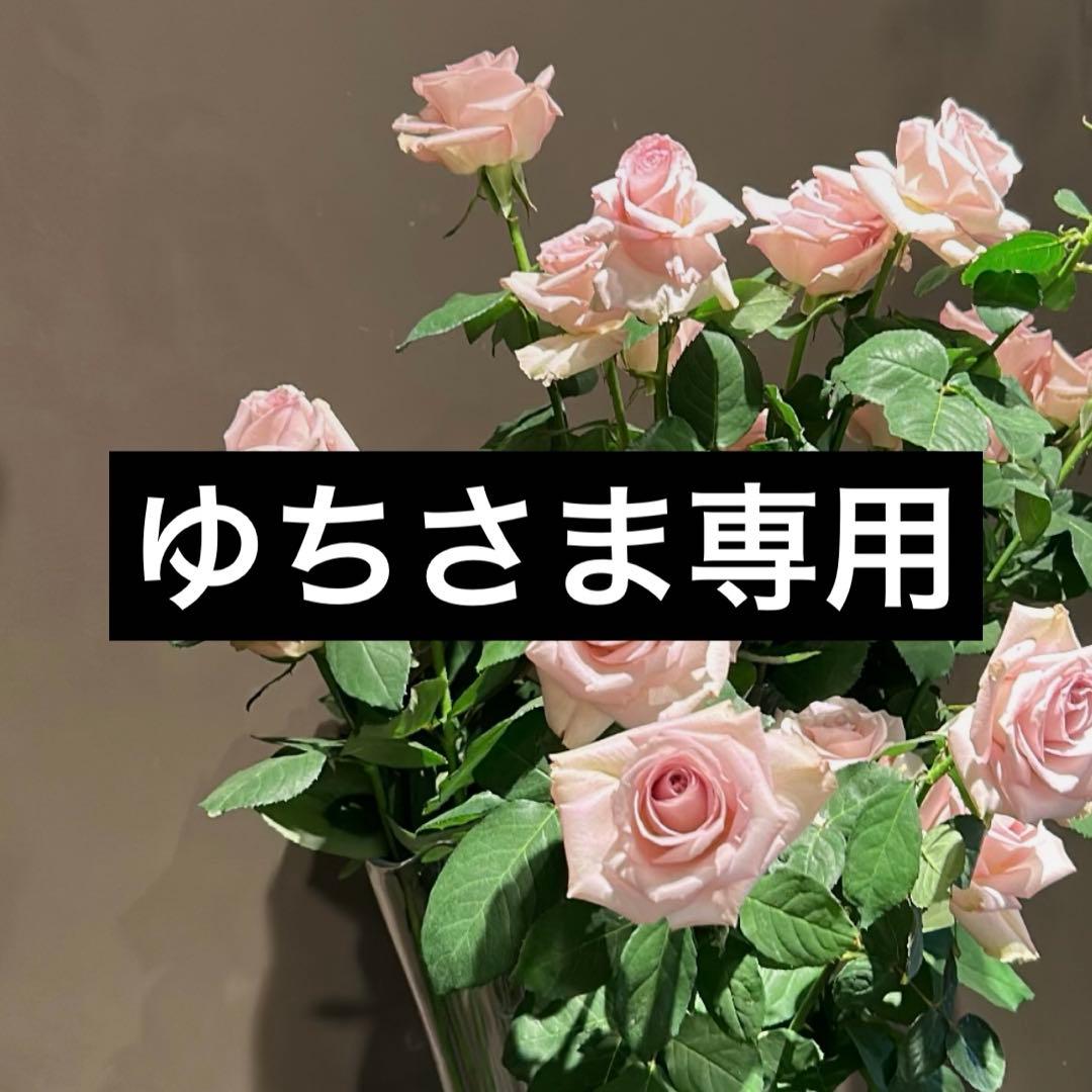ゆちさま専用