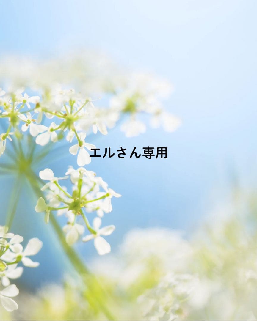 エルさん専用