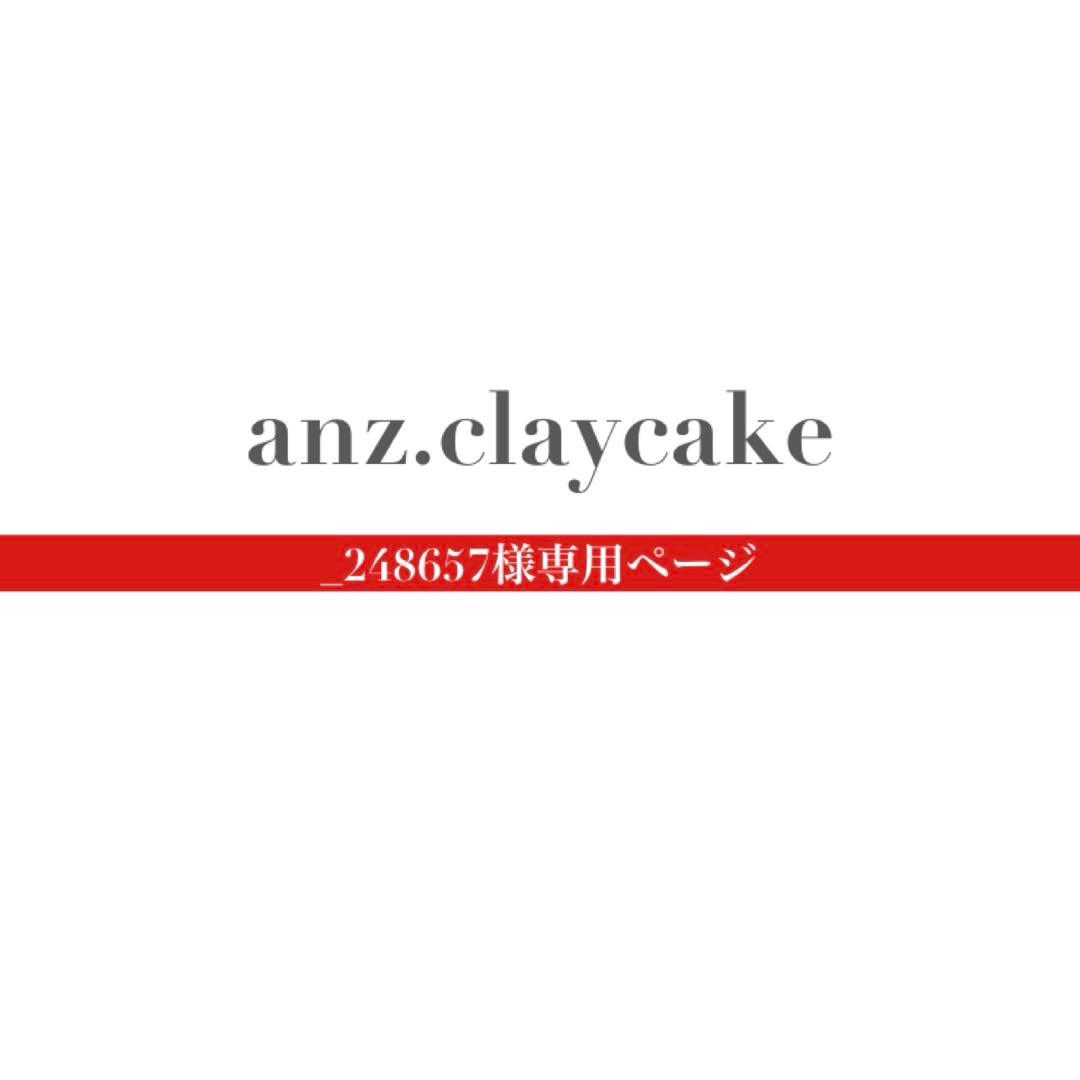 _248657ページ
