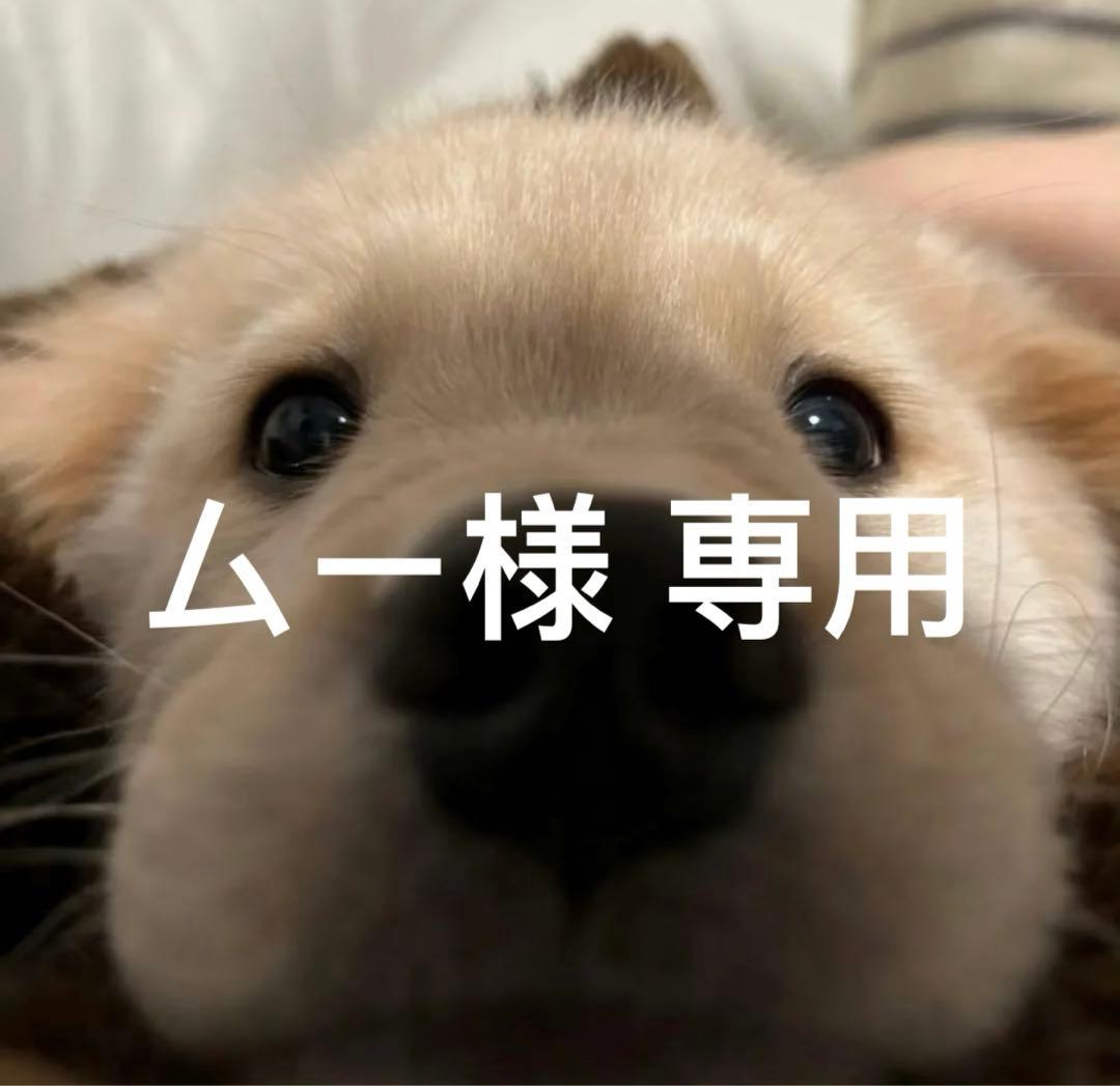 ムー