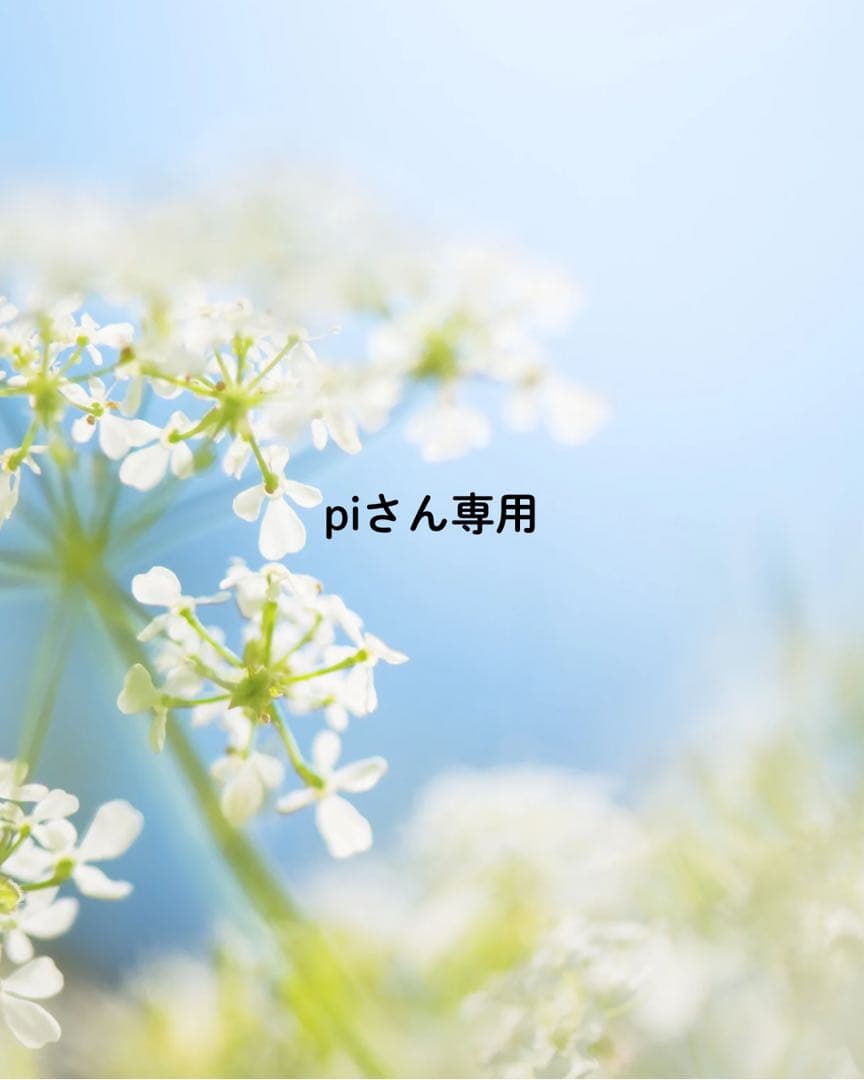 piさん専用
