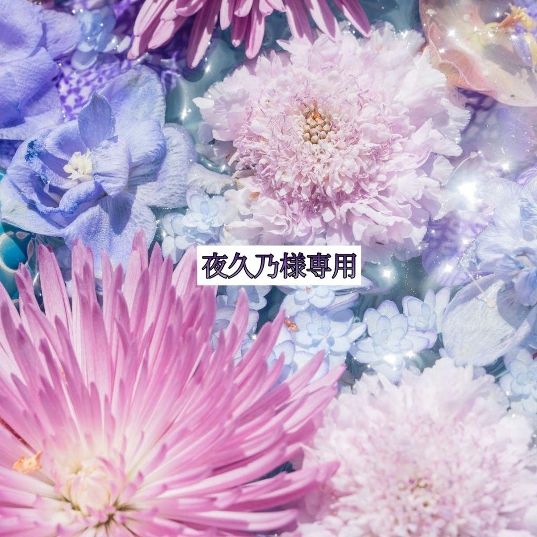 【夜久乃】