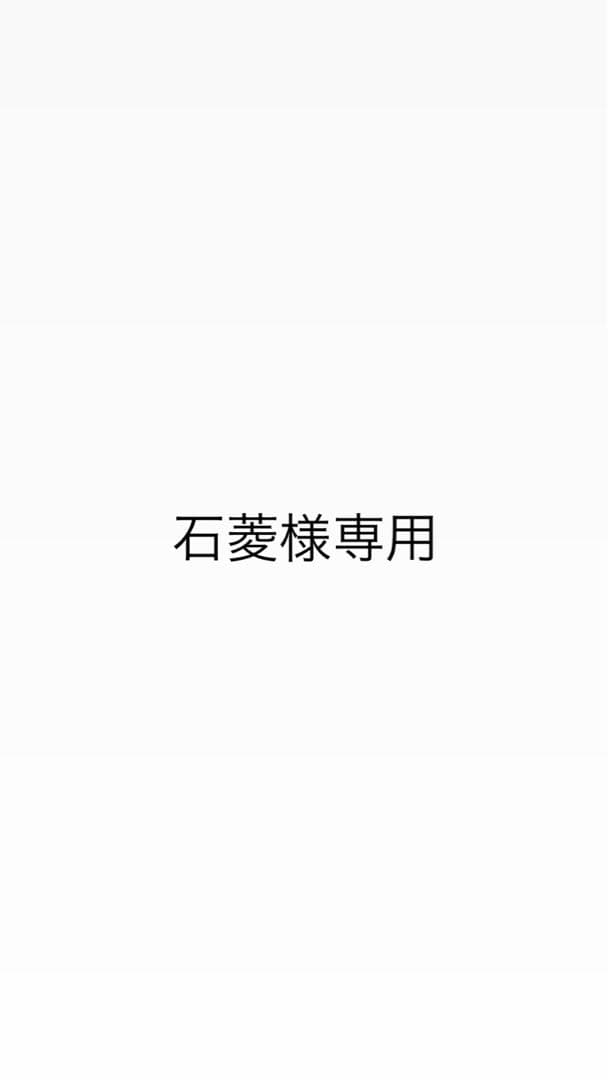 石菱出品 WX300