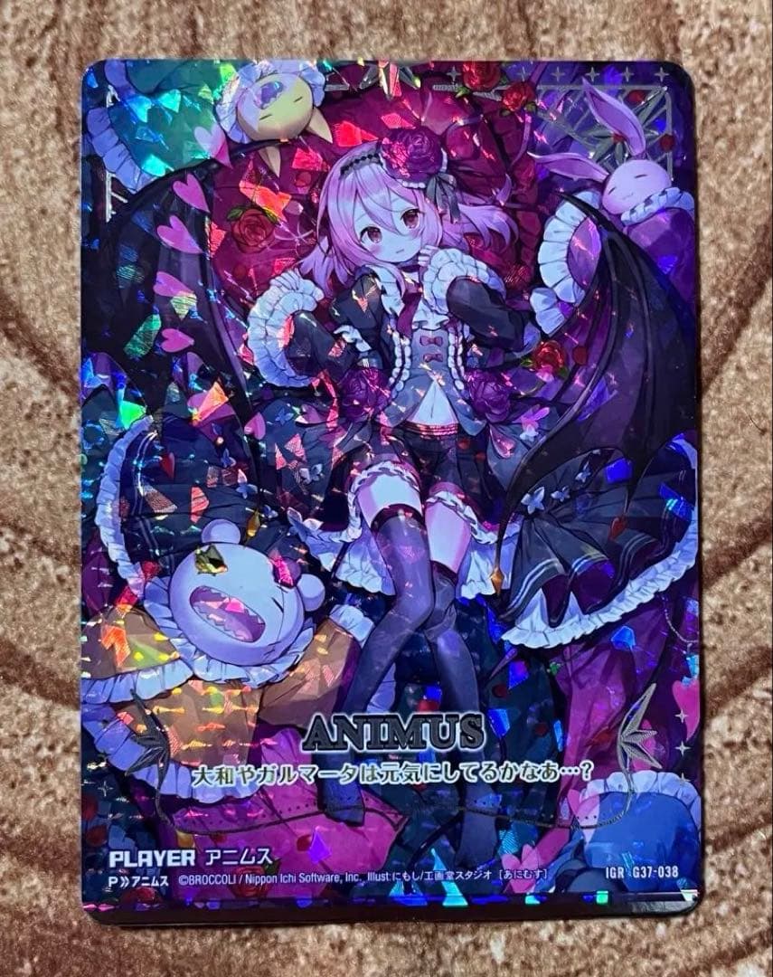 アニムス IGR