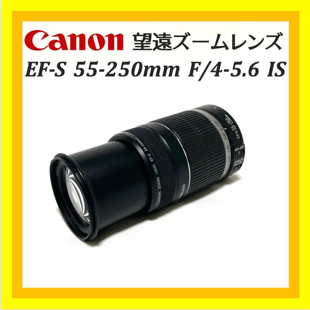 イベントに最適❣️ Canon EF-S 55-250mm 軽量望遠ズームレンズ