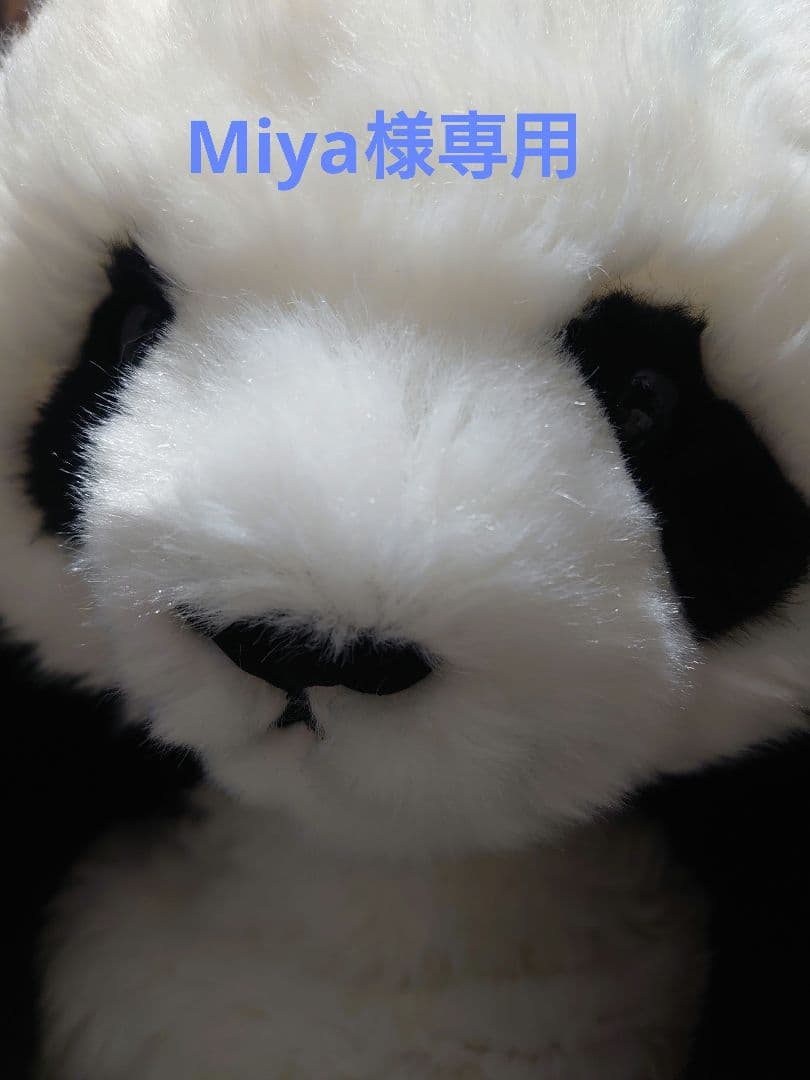 靴 Miya