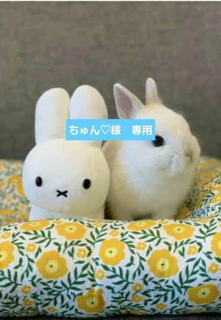 ちゅん♡
