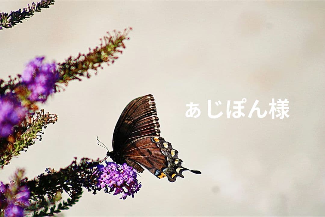 ぁじぽんページ(*´︶`*)ノ