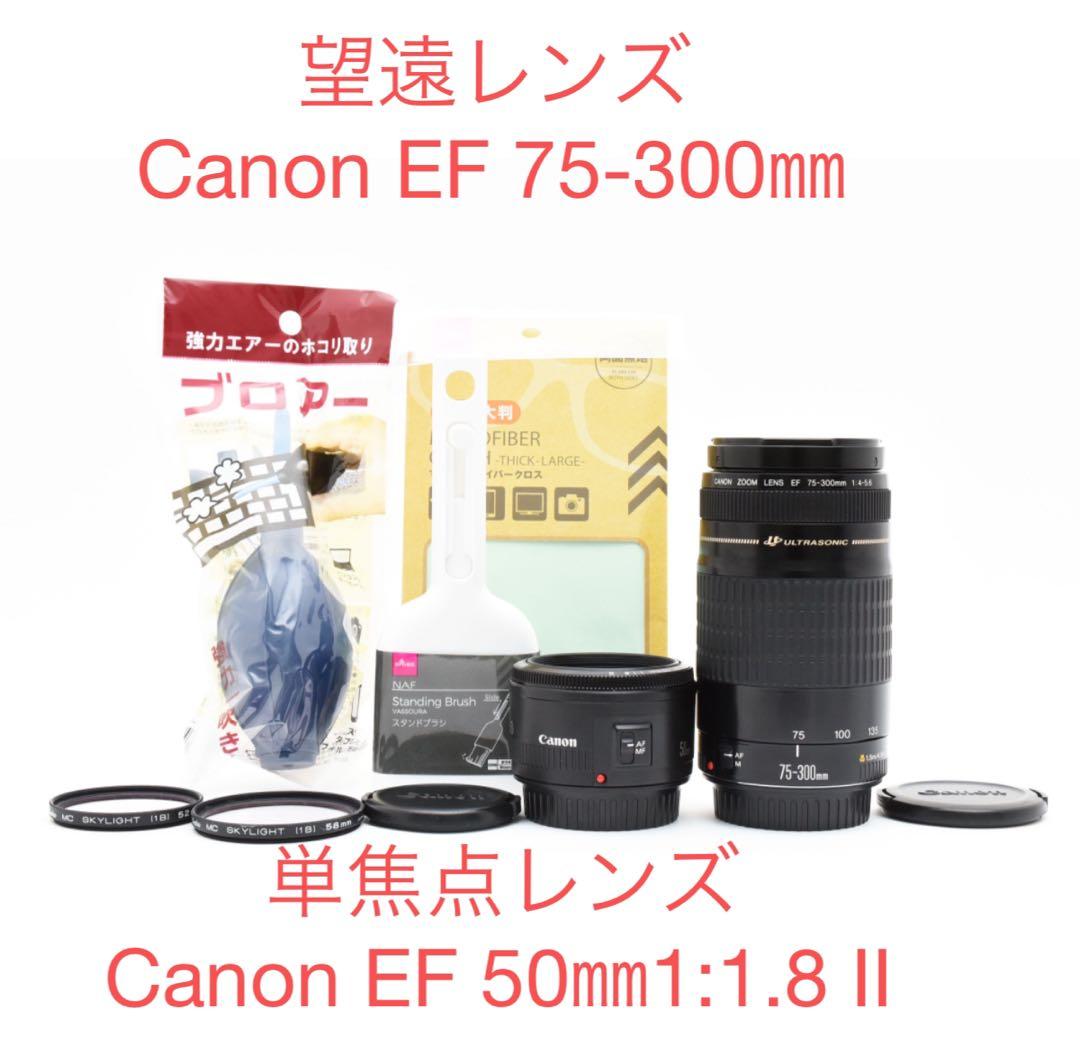 単焦点 EF50mm 1:1.8 II 望遠EF 75-300 mm（2セット）