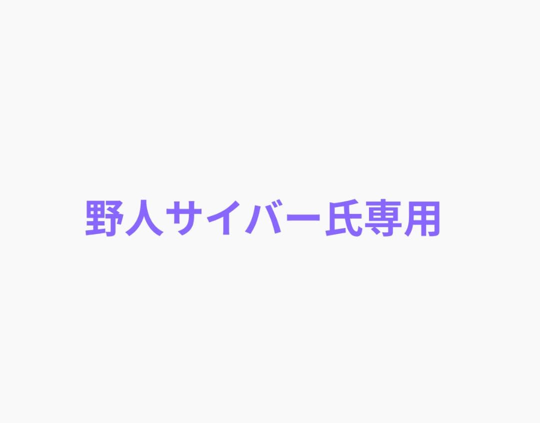 野人サイバー氏専用 再出品